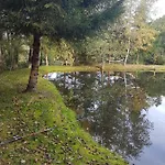 Летний дом Insolite Tiny House Serenite Bien Etre Ban-sur-Meurthe-Clefcy