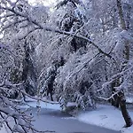 Insolite Tiny House Serenite Bien Etre * Ban-sur-Meurthe-Clefcy