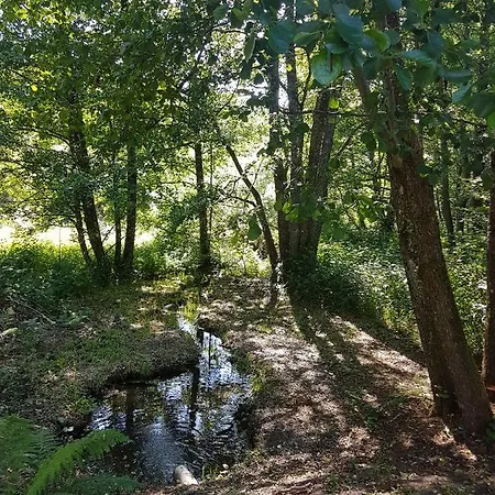 Insolite Tiny House Serenite Bien Etre Ban-sur-Meurthe-Clefcy