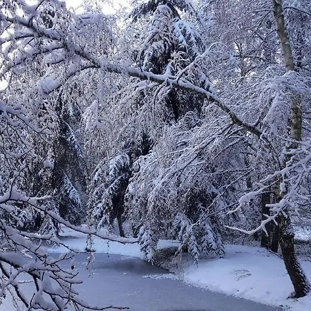 Insolite Tiny House Serenite Bien Etre * Ban-sur-Meurthe-Clefcy