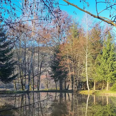Insolite Tiny House Serenite Bien Etre Ban-sur-Meurthe-Clefcy