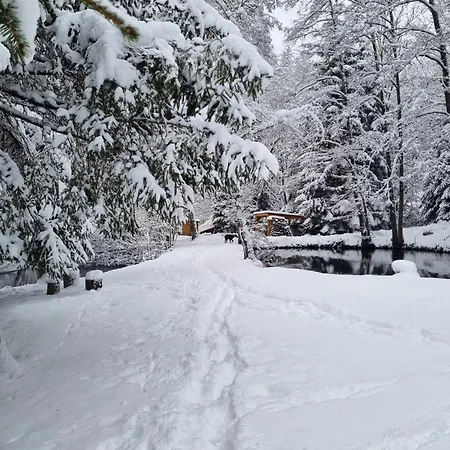 Insolite Tiny House Serenite Bien Etre Hétvégi ház Ban-sur-Meurthe-Clefcy