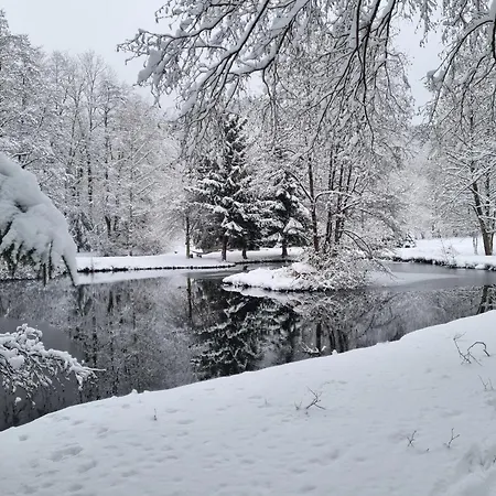 Insolite Tiny House Serenite Bien Etre 乡村民宿 Ban-sur-Meurthe-Clefcy