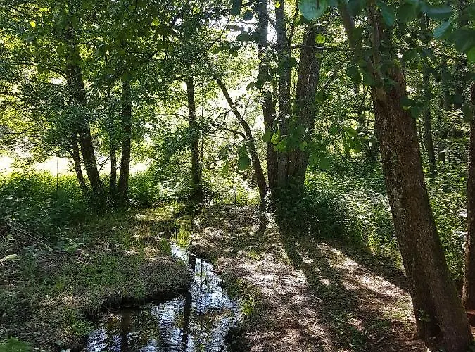 Insolite Tiny House Serenite Bien Etre Ban-sur-Meurthe-Clefcy