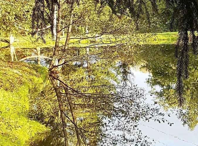 Insolite Tiny House Serenite Bien Etre Landhuis