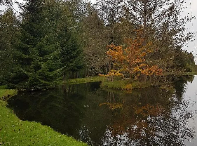 Insolite Tiny House Serenite Bien Etre * Ban-sur-Meurthe-Clefcy