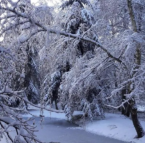 Insolite Tiny House Serenite Bien Etre * Ban-sur-Meurthe-Clefcy