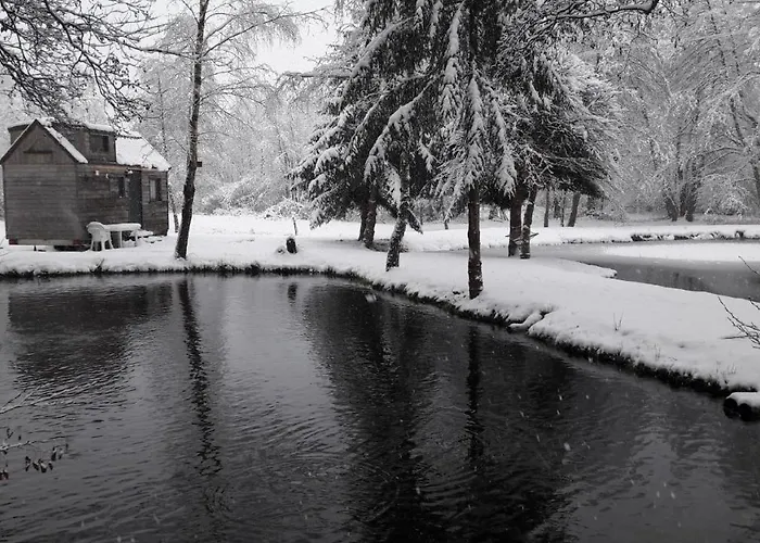 Insolite Tiny House Serenite Bien Etre Ban-sur-Meurthe-Clefcy