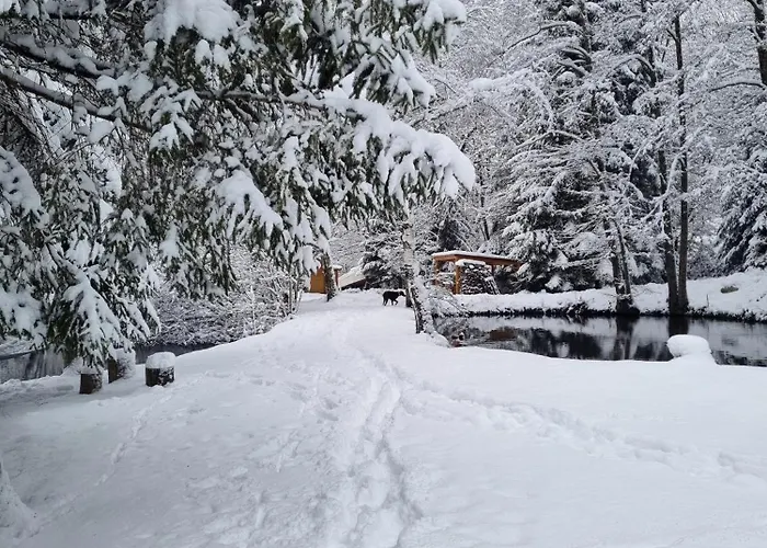 Insolite Tiny House Serenite Bien Etre בית כפרי Ban-sur-Meurthe-Clefcy