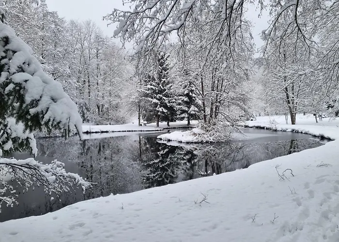 Insolite Tiny House Serenite Bien Etre 乡村民宿 Ban-sur-Meurthe-Clefcy